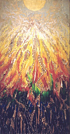 XPYSO III Gallery